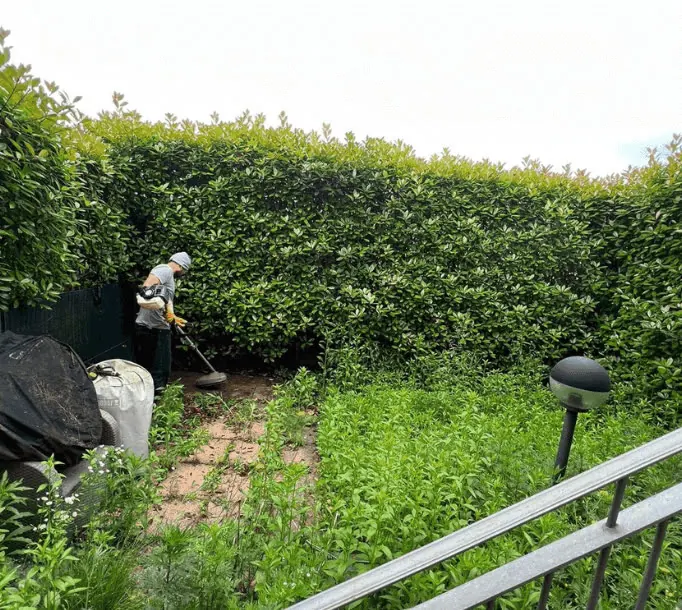 Giardinaggio